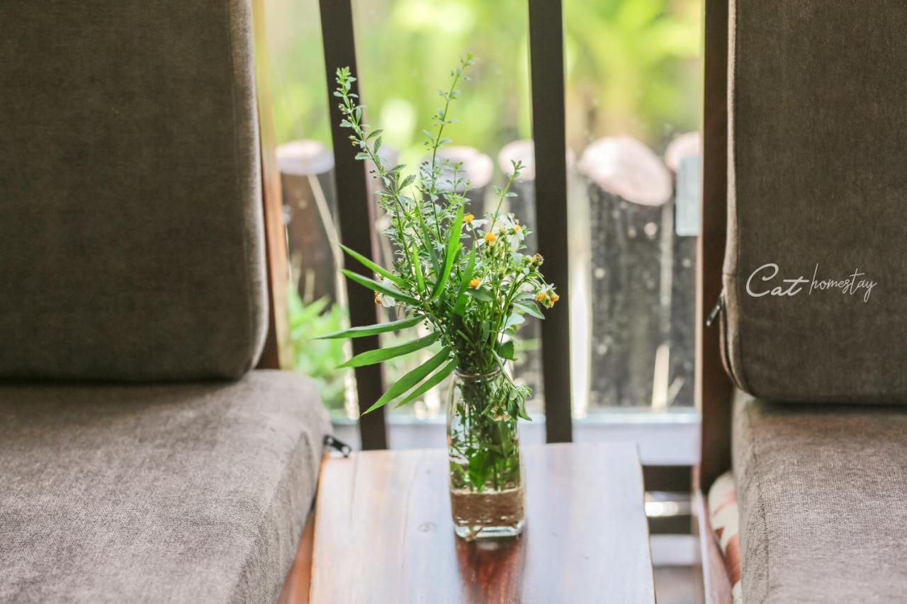 Cat Homestay Huế Ngoại thất bức ảnh