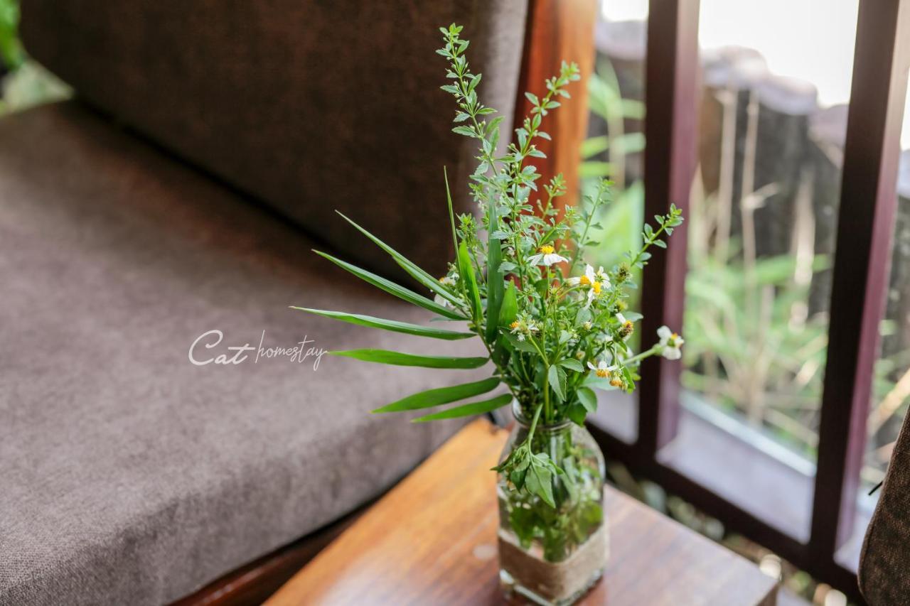 Cat Homestay Huế Ngoại thất bức ảnh