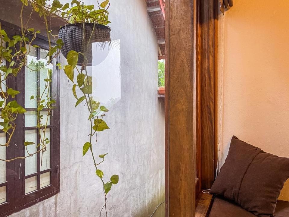Cat Homestay Huế Ngoại thất bức ảnh